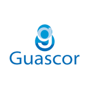 Свечи GUASCOR