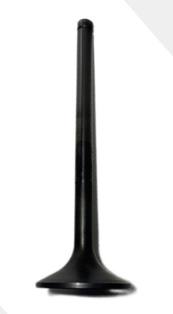 Клапан выпускной X6231.301W Baudouin