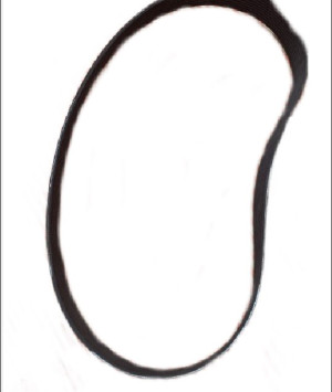 Ремень водяного насоса 612630060974 WEICHAI